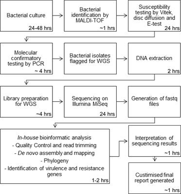 Centralised or Localised Pathogen Whole Genome Sequencing: Lessons Learnt From Implementation in a Clinical Diagnostic Laboratory